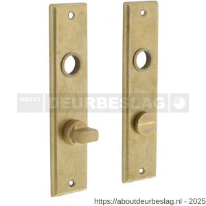 Intersteel 2568 renovatie kortschild rechthoekig 181x41x7 mm WC63/8 mm messing getrommeld - R26002819 - afbeelding 1