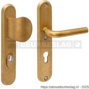 Intersteel Living 3788 SKG3 veiligheidsbeslag ovaal 250x50 mm greep-kruk Luzern met veerconstructie profielcilindergat 72 mm met kerntrekbeveiliging PVD messing getrommeld - R26010937 - afbeelding 1