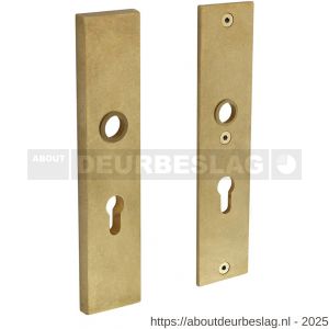 Intersteel 3825 SKG3 veiligheidsschilden rechthoekig 245x54 mm profielcilindergat 72 mm messing getrommeld - R26003532 - afbeelding 1