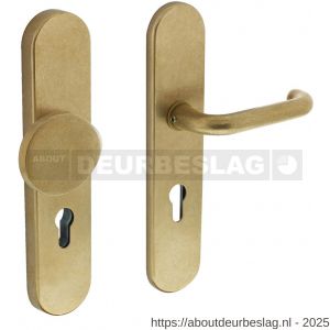 Intersteel Living 3846 SKG3 veiligheidsbeslag ovaal verdekt 252x54 mm greep-kruk Rond profielcilindergat 72 mm messing getrommeld - R26003465 - afbeelding 1