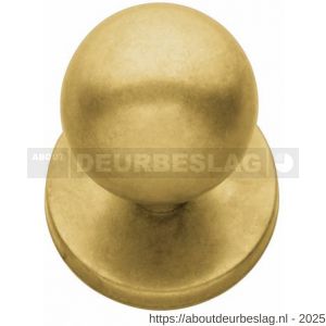 Intersteel Living 3930 voordeurknop bolrond diameter 50 mm op achterplaat diameter 66 mm messing getrommeld - R26001025 - afbeelding 1