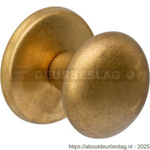 Intersteel Living 3930 voordeurknop Paddenstoel diameter 58 mm op achterplaat diameter 66 mm éénzijdige montage PVD messing getrommeld - R26010935 - afbeelding 1