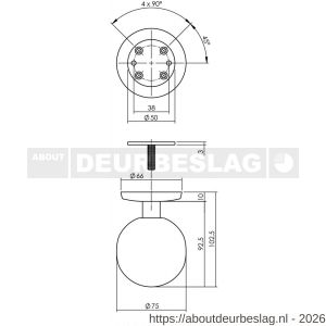 Intersteel Living 3930 voordeurknop bol diameter 75 mm op achterplaat diameter 66 mm éénzijdige montage PVD messing getrommeld - R26010933 - afbeelding 2