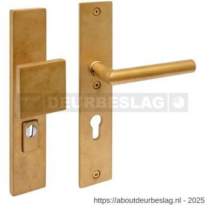 Intersteel Living 3962 SKG3 veiligheidsbeslag rechthoekig 250x50 mm greep-kruk Jura profielcilindergat 72 mm met kerntrekbeveiliging PVD messing getrommeld - R26010932 - afbeelding 1