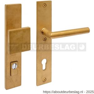 Intersteel Living 3962 SKG3 veiligheidsbeslag rechthoekig 250x50 mm greep-kruk Jura profielcilindergat 92 mm met kerntrekbeveiliging PVD messing getrommeld - R26010931 - afbeelding 1