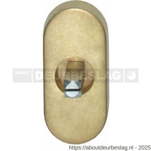 Intersteel 6050 basisplaat ovaal voor raamkruk hals diameter 18 mm messing getrommeld - R26003774 - afbeelding 1