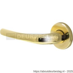 Intersteel 0194 deurkruk gatdeel links Cosmos op rozet verdekt diameter 49x7 mm messing gelakt - R26001249 - afbeelding 1