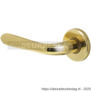 Intersteel 0195 deurkruk gatdeel links Jupiter op rozet verdekt diameter 49x7 mm messing gelakt - R26001251 - afbeelding 1