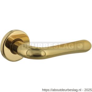 Intersteel Living 0198 deurkruk Saturnus op rozet verdekt diameter 49x7 mm messing gelakt - R26000327 - afbeelding 1
