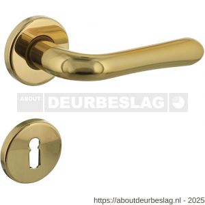 Intersteel 0198 deurkruk Saturnus op rozet verdekt diameter 49x7 mm en sleutelrozetten messing gelakt - R26010580 - afbeelding 1
