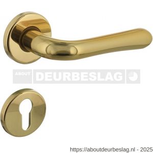Intersteel 0198 deurkruk Saturnus op rozet verdekt diameter 49x7 mm en cilinderrozetten messing gelakt - R26010581 - afbeelding 1