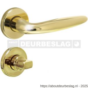 Intersteel 0199 deurkruk Sigaar op rozet verdekt diameter 49x7 mm en WC-sluiting met stift 8x8 mm messing gelakt - R26010585 - afbeelding 1