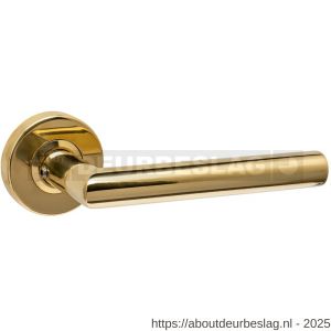 Intersteel Living 0583 deurkruk Jura op rozet verdekt diameter 53x10 mm PVD messingkleur - R26010905 - afbeelding 1