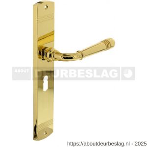 Intersteel Living 1705 deurkruk Helena op schild afgerond 235x45 mm sleutelgat 56 mm PVD messingkleur - R26007937 - afbeelding 1