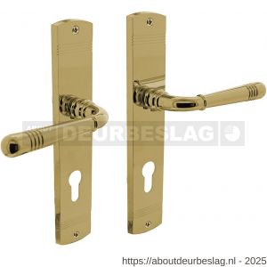 Intersteel Living 1705 deurkruk Helena op schild afgerond 235x45 mm profielcilindergat 72 mm PVD messingkleur - R26004789 - afbeelding 1
