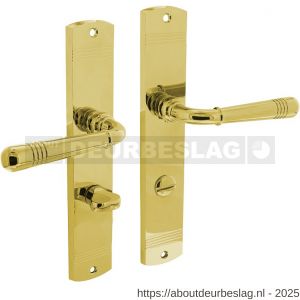 Intersteel Living 1705 deurkruk Helena op schild afgerond 235x45 mm WC 63/8 mm PVD messingkleur - R26007939 - afbeelding 1