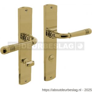 Intersteel 1705 deurkruk Helena op schild afgerond 235x45 mm WC 78/8 mm PVD messingkleur - R26004790 - afbeelding 1