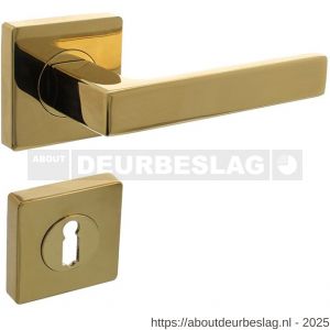 Intersteel 1713 deurkruk Hera op rozet verdekt 55x55x10 mm met nokken en sleutelrozetten PVD messingkleur - R26010145 - afbeelding 1