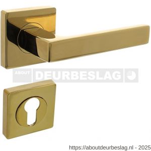 Intersteel 1713 deurkruk Hera op rozet verdekt 55x55x10 mm met nokken en cilinderrozetten PVD messingkleur - R26010146 - afbeelding 1