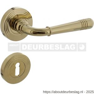 Intersteel 1725 deurkruk Helena op rozet verdekt met rillen diameter 55x10 mm met nokken en sleutelrozetten PVD messingkleur - R26001775 - afbeelding 1