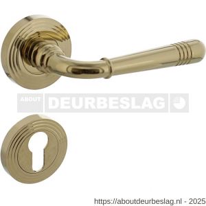 Intersteel 1725 deurkruk Helena op rozet verdekt met rillen diameter 55x10 mm met nokken en cilinderrozetten PVD messingkleur - R26001776 - afbeelding 1