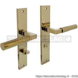 Intersteel 1742 deurkruk Baustil op schild rechthoekig 245x45 mm WC 78/7 mm PVD messingkleur - R26010166 - afbeelding 1