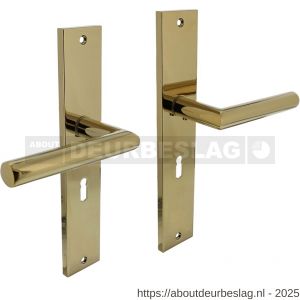 Intersteel Living 1743 deurkruk Bastian op schild rechthoekig 245x45 mm sleutelgat 56 mm PVD messingkleur - R26010170 - afbeelding 1