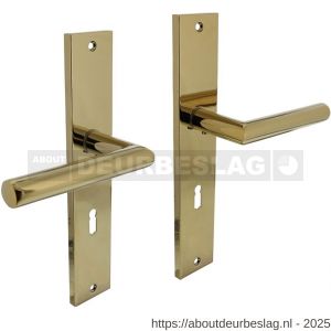 Intersteel 1743 deurkruk Bastian op schild rechthoekig 245x45 mm sleutelgat 72 mm PVD messingkleur - R26010171 - afbeelding 1