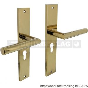 Intersteel Living 1743 deurkruk Bastian op schild rechthoekig 245x45 mm profielcilindergat 55 mm PVD messingkleur - R26010173 - afbeelding 1