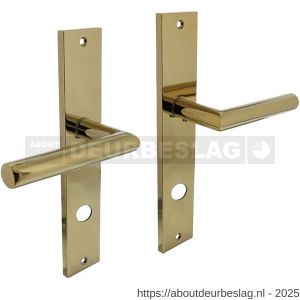 Intersteel 1743 deurkruk Bastian op schild rechthoekig 245x45 mm rondcilindergat 78 mm PVD messingkleur - R26010589 - afbeelding 1