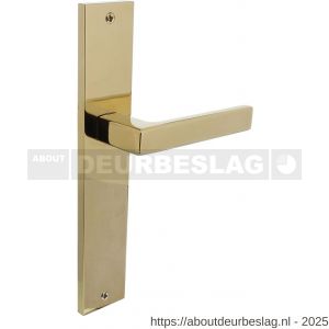 Intersteel Living 1744 deurkruk Hera op schild rechthoekig 245x45 mm blind PVD messingkleur - R26010177 - afbeelding 1