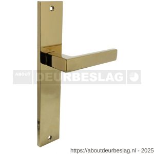 Intersteel 1744 deurkruk gatdeel rechts Hera op schild rechthoekig 245x45 mm blind PVD messingkleur - R26010178 - afbeelding 1
