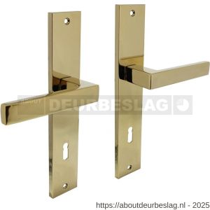 Intersteel 1744 deurkruk Hera op schild rechthoekig 245x45 mm sleutelgat 78 mm PVD messingkleur - R26010591 - afbeelding 1