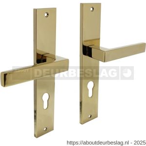 Intersteel Living 1744 deurkruk Hera op schild rechthoekig 245x45 mm profielcilindergat 72 mm PVD messingkleur - R26010182 - afbeelding 1