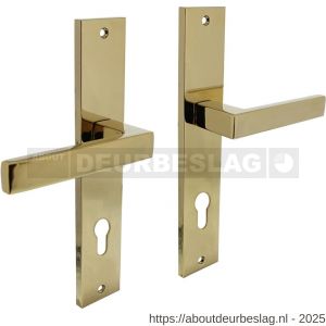 Intersteel 1744 deurkruk Hera op schild rechthoekig 245x45 mm profielcilindergat 78 mm PVD messingkleur - R26010592 - afbeelding 1
