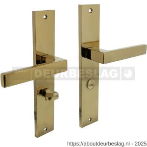 Intersteel Living 1744 deurkruk Hera op schild rechthoekig 245x45 mm WC 63/8 mm PVD messingkleur - R26010183 - afbeelding 1