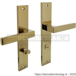 Intersteel 1744 deurkruk Hera op schild rechthoekig 245x45 mm WC 78/8 mm PVD messingkleur - R26010184 - afbeelding 1