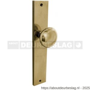 Intersteel Living 2128 knopschild rechthoekig 245x45x8 mm met vaste knop Paddenstoel en wisselstift blind PVD messingkleur - R26010193 - afbeelding 1