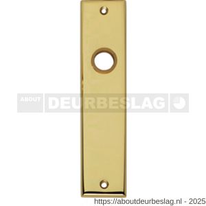 Intersteel 2568 renovatie kortschild rechthoekig 181x41x7 mm profielcilindergat 72 mm messing gelakt - R26002827 - afbeelding 1