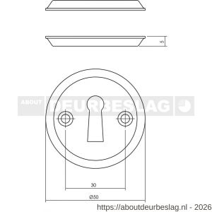 Intersteel Living 3173 sleutelrozetten diameter 50x5 mm messing gelakt - R26011109 - afbeelding 2