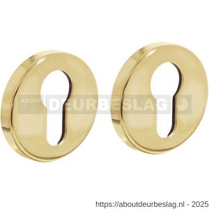 Intersteel Living 3186 cilinderrozetten verdekt diameter 49x7 mm messing gelakt - R26011112 - afbeelding 1