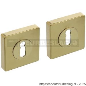 Intersteel Living 3191 sleutelrozetten verdekt 55x55x10 mm met nokken PVD messingkleur - R26010200 - afbeelding 1