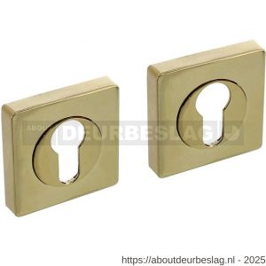 Intersteel Living 3191 cilinderrozetten verdekt 55x55x10 mm met nokken PVD messingkleur - R26010201 - afbeelding 1