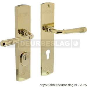 Intersteel Living 3777 achterdeurbeslag Helena 239x50 mm kruk-kruk profielcilindergat 72 mm met kerntrekbeveiliging PVD messingkleur - R26010203 - afbeelding 1