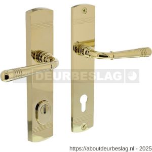 Intersteel Living 3777 achterdeurbeslag Helena 239x50 mm kruk-kruk profielcilindergat 92 mm met kerntrekbeveiliging PVD messingkleur - R26010204 - afbeelding 1