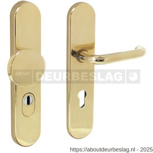 Intersteel Living 3820 SKG3 veiligheidsbeslag ovaal verdekt 252x54 mm greep-kruk Rond profielcilindergat 72 mm met kerntrekbeveiliging messing gelakt - R26003419 - afbeelding 1