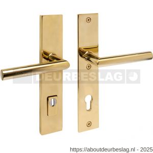 Intersteel 3964 SKG3 veiligheidsbeslag rechthoekig 250x50 mm kruk-kruk Jura met veerconstructie profielcilindergat 92 mm met kerntrekbeveiliging PVD messingkleur - R26010888 - afbeelding 1