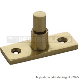 Intersteel 5615 stelpen messing gelakt - R26003862 - afbeelding 1