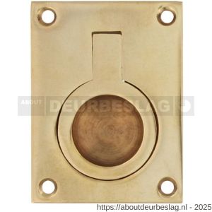 Intersteel Living 7526 luikring recht 41x31 mm messing gelakt - R26009606 - afbeelding 1