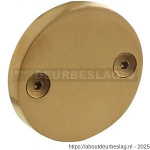 Intersteel 3175 afdekrozet diameter 55x8 mm PVD messing mat - R26011333 - afbeelding 1